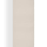 Cashmere Gauze Weave Shawl in Cashmere